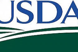 Usda