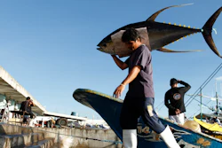Yellowfin