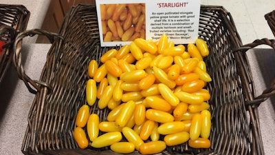 Starlight, a yellow fingerling tomato, is part of Griffiths' Galaxy Suite.