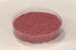 Meat