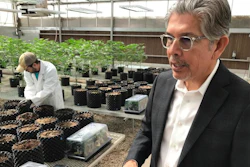 In this April 6, 2018 file photo, Ultra Health president and chief executive officer Duke Rodriguez discusses the medical marijuana industry during a tour of the company's greenhouse in Bernalillo, N.M. Ultra Health and other licensed producers are praising a decision made March 1, 2019 by the New Mexico Department of Health to temporarily raise the cap on the number of plants they can have as the result of a court battle.