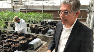 In this April 6, 2018 file photo, Ultra Health president and chief executive officer Duke Rodriguez discusses the medical marijuana industry during a tour of the company's greenhouse in Bernalillo, N.M. Ultra Health and other licensed producers are praising a decision made March 1, 2019 by the New Mexico Department of Health to temporarily raise the cap on the number of plants they can have as the result of a court battle.