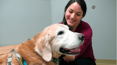 Dr. Lindsey Bullen pets Benko, a golden retriever with weight issues, during a visit at the Veterinary Specialty Hospital in Cary, N.C. Bullen says she gets several questions a day from clients interested in fresh and homemade pet food.