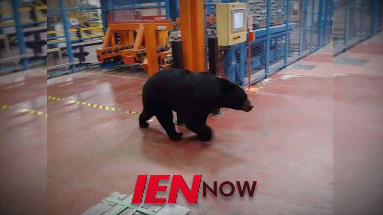 Ep749nowlogofbthumbnail