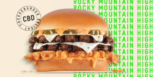 Rocky Mountain High Cheese Burger Delight Burger 2[1]