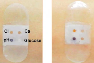 Biosensor bandage before (left) and after (right) sweat secretion.