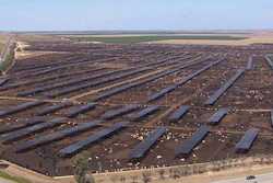 According to the company, Harris operates one of the largest cattle finishing facilities in the Western United States.
