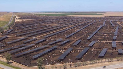 According to the company, Harris operates one of the largest cattle finishing facilities in the Western United States.