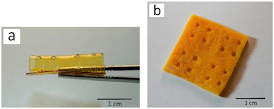 A 3D scaffold after laser stereolithography (a) and lyophilization (b).