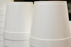 Foam Cup