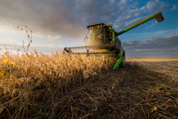 Harvesting Of Soybean Field