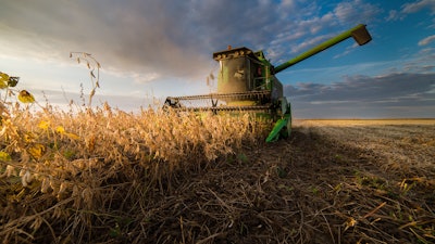 Harvesting Of Soybean Field