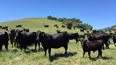 Panorama Meats supports U.S. family ranchers who raise organic, grass-fed beef.