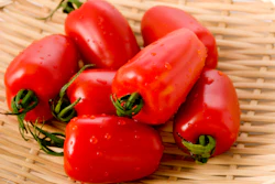 San Marzano Tomatoes