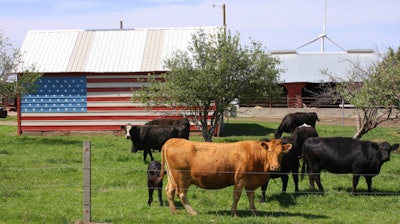 U s Cattle 5cdec53588420