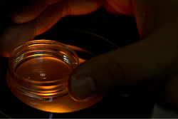 In this Oct. 9, 2018, file photo, an embryologist who was part of the team working with scientist He Jiankui adjusts a microplate containing embryos at a lab in Shenzhen in southern China’s Guandong province. Six months after He was widely scorned for helping to make the world’s first gene-edited babies, new information suggests that others may be interested in pursuing such work outside the United States.