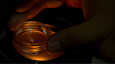 In this Oct. 9, 2018, file photo, an embryologist who was part of the team working with scientist He Jiankui adjusts a microplate containing embryos at a lab in Shenzhen in southern China’s Guandong province. Six months after He was widely scorned for helping to make the world’s first gene-edited babies, new information suggests that others may be interested in pursuing such work outside the United States.