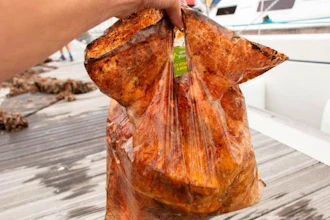 An oxo-biodegradable plastic bag could still hold 5 pounds of groceries without tearing after being submerged in the ocean for 3 years.