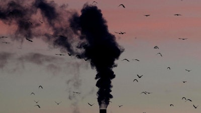 In this Dec. 4, 2018, file photo, birds fly past a smoking chimney in Ludwigshafen, Germany. Development that’s led to loss of habitat, climate change, overfishing, pollution and invasive species is causing a biodiversity crisis, scientists say in a new United Nations science report released Monday, May 6, 2019.