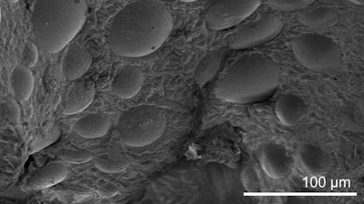 Magnified view of the Powdered Activated Carbon polymer which bonds with water-borne PFAS, enabling it's removal from the environment.