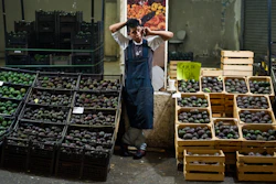 In this file photo, an avocado vendor talks on his cellphone at a market in Mexico City.