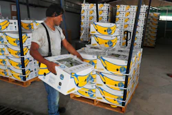 In this May 31, 2019 file photo, =a worker stacks a box of freshly harvested Chiquita bananas to be exported, at a farm in Ciudad Hidalgo, Chiapas state, Mexico. President Donald Trump plans to impose 5% tariffs on Mexican imports starting June 10 and to ratchet them up to 25% by Oct. 1 if the Mexicans don’t do more to stop the surge of Central American migrants across the southern U.S. border.