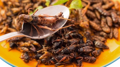 Edible Insects