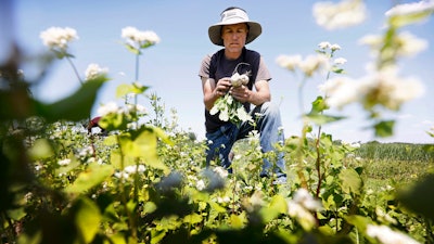 In this photo, Andrew Dunham harvests Hakurei turnips on his 80-acre organic farm, in Grinnell, Iowa. Like farmers throughout the Midwest, torrential spring rains turned Dunham's land into sticky muck that wouldn't let him plant crops this spring.