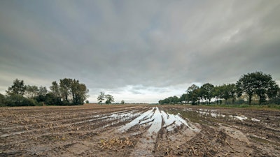 Rain Farm