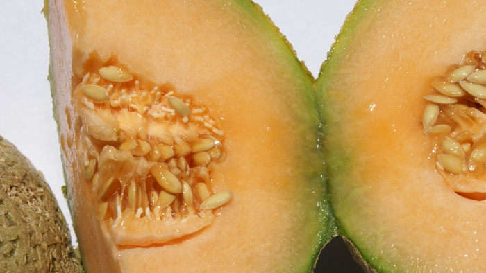 Canteloupe Istock