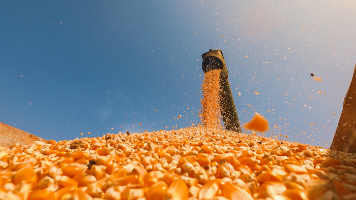 Corn For Ethanol