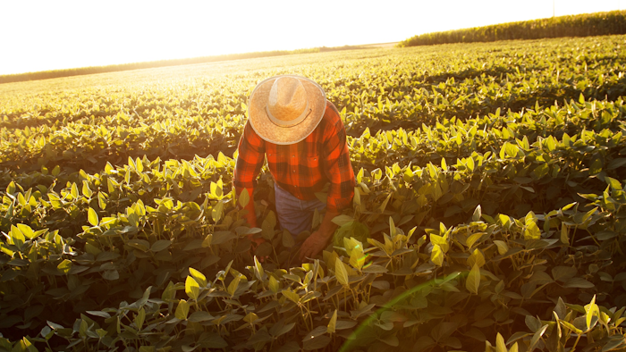 Farm Workers Labor Istock