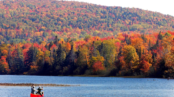 In this Sept. 27, 2014 file photo, Brad and Sue Wyman paddle their 1930's Old Town Guide canoe along the Androscoggin River as leaves display their fall colors north of the White Mountains in Dummer, N.H. The New Hampshire Supreme Court on Friday, July 19, 2019 upheld a state committee's rejection of a proposal to bring a hydropower transmission line from Canada to markets in southern New England, possibly dealing a fatal blow to a plan that has raised concerns among communities and environmentalists that it would harm the region's tourism industry and hurt property values.