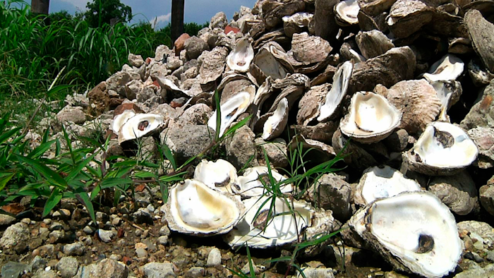 Seafood
