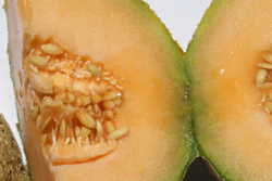 Canteloupe Istock