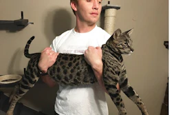 In this Sept. 13, 2017, file photo, William Powers holds his cat Arcturus Aldebaran Powers in Farmington Hills, Mich.