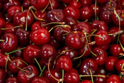 Cherries Istock