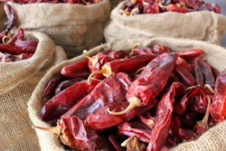 This March 20, 2013, file photo, shows sacks of dried red chile pods at the Hatch Chile Sales shop along the main street of the self-proclaimed 'Chile Capital of the World,' in Hatch, N.M. A hybrid version of a New Mexico chile plant has been selected to be grown in space as part of a NASA experiment, officials recently announced.
