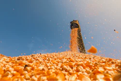 Corn For Ethanol