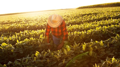 Farm Workers Labor Istock