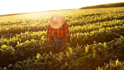 Farm Workers Labor Istock