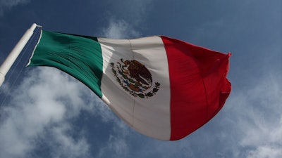 Flag Of Mexico (1)