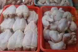 Raw Chicken Wiki