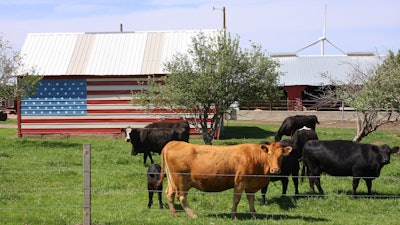 U s Cattle