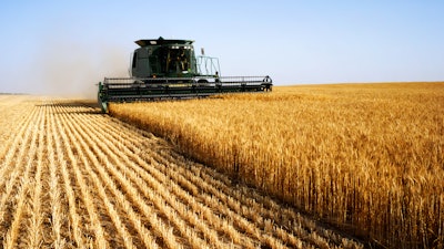 Wheat Harvesting