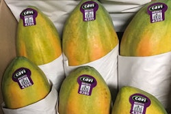 Cavi Papayas