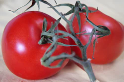 Tomato