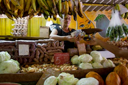 Olga Castillo counts the change after selling vegetables to a customer at her stall in Havana, Cuba, Wednesday, July 30, 2019. The Cuban government is capping prices for food and beverages throughout the country in order to control the risk of inflation due to a state wage hike and stagnant productivity.