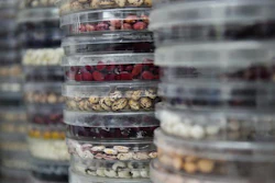 Important bean varieties are stored in containers.