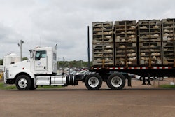 Business continues at this Koch Foods Inc., plant in Morton, Miss., Thursday, Aug. 8, 2019, as a truck loaded with chickens passes the plant following Wednesday's raid by U.S. immigration officials. In an email Thursday, U.S. Immigration and Customs Enforcement spokesman Bryan Cox said more than 300 of the 680 people arrested Wednesday have been released from custody.